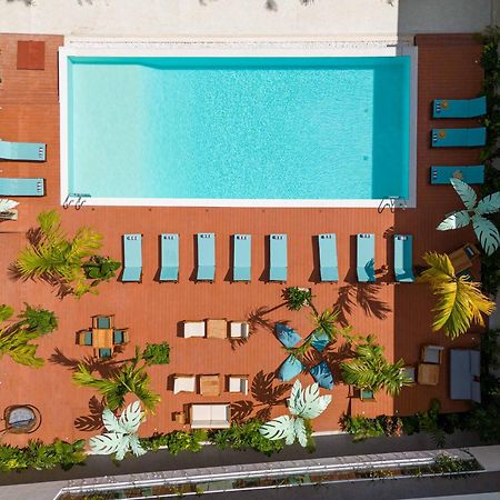 Samawa Living Hotel Paje Exterior photo